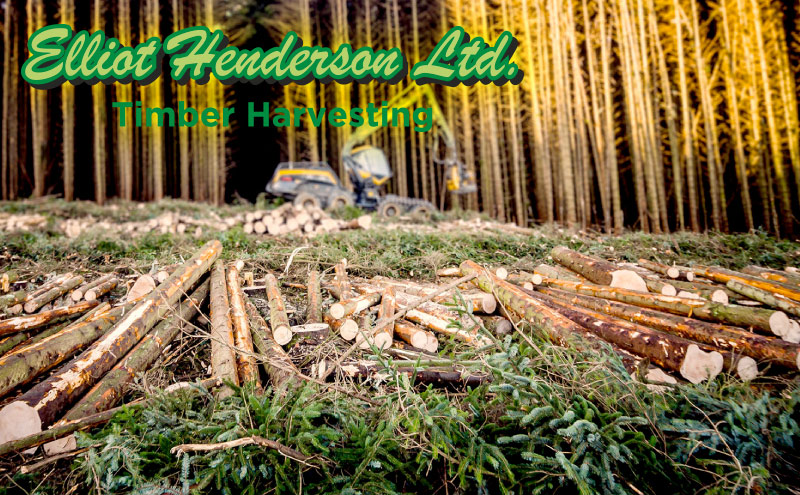 Acquisition of Elliot Henderson Limited