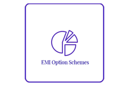 EMI Option Scheme Set-up